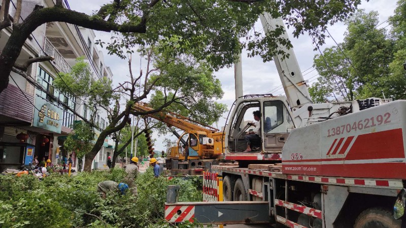 國網南豐縣供電公司：線路整治，備戰(zhàn)迎峰度夏