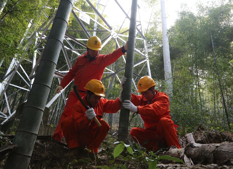 國網(wǎng)余姚市供電公司通道清理為冬季用電筑牢安全壁壘