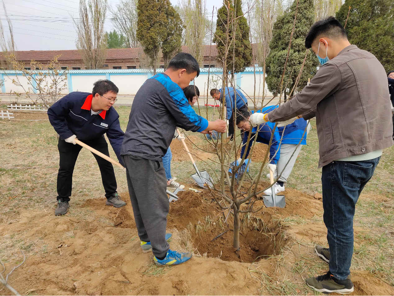 植樹(shù)護(hù)綠 共建美好家園