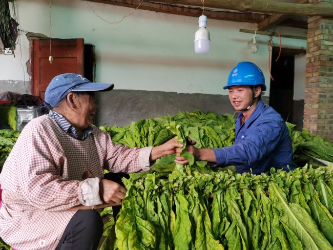 國網(wǎng)會理市供電公司傾情服務(wù) “金葉”生產(chǎn)電無憂