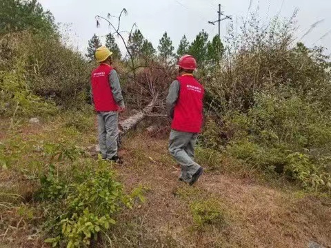 國網(wǎng)道縣供電公司國慶保電不打烊 特巡線路防山火