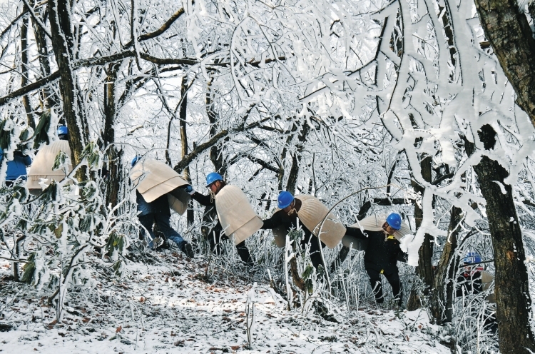 【新春滿能量 央企“不打烊”】“披氈戰(zhàn)隊”冰山護(hù)電