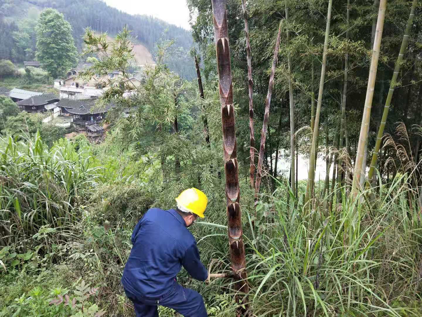 國(guó)網(wǎng)中方縣供電公司春檢砍青忙 線(xiàn)路通道暢