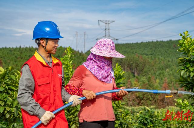 國網嘉禾縣供電公司電力“紅馬甲”精準服務特色產業(yè)助發(fā)展