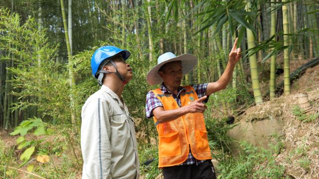 重慶通過(guò)“五定”工作機(jī)制保障電力線路安全運(yùn)行